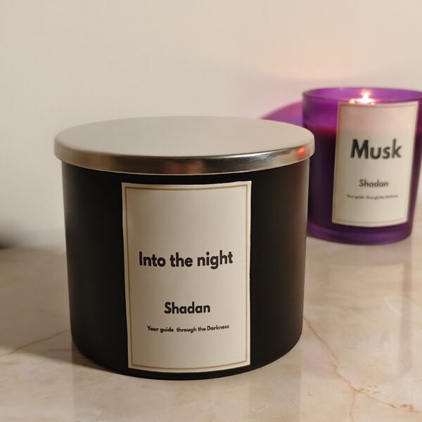 ✨Into the Night candle ✨